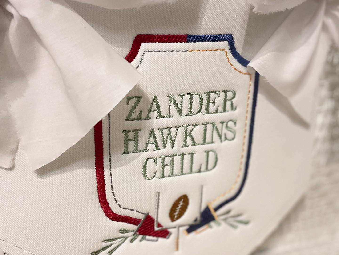 "House Divided" Bassinet Banner